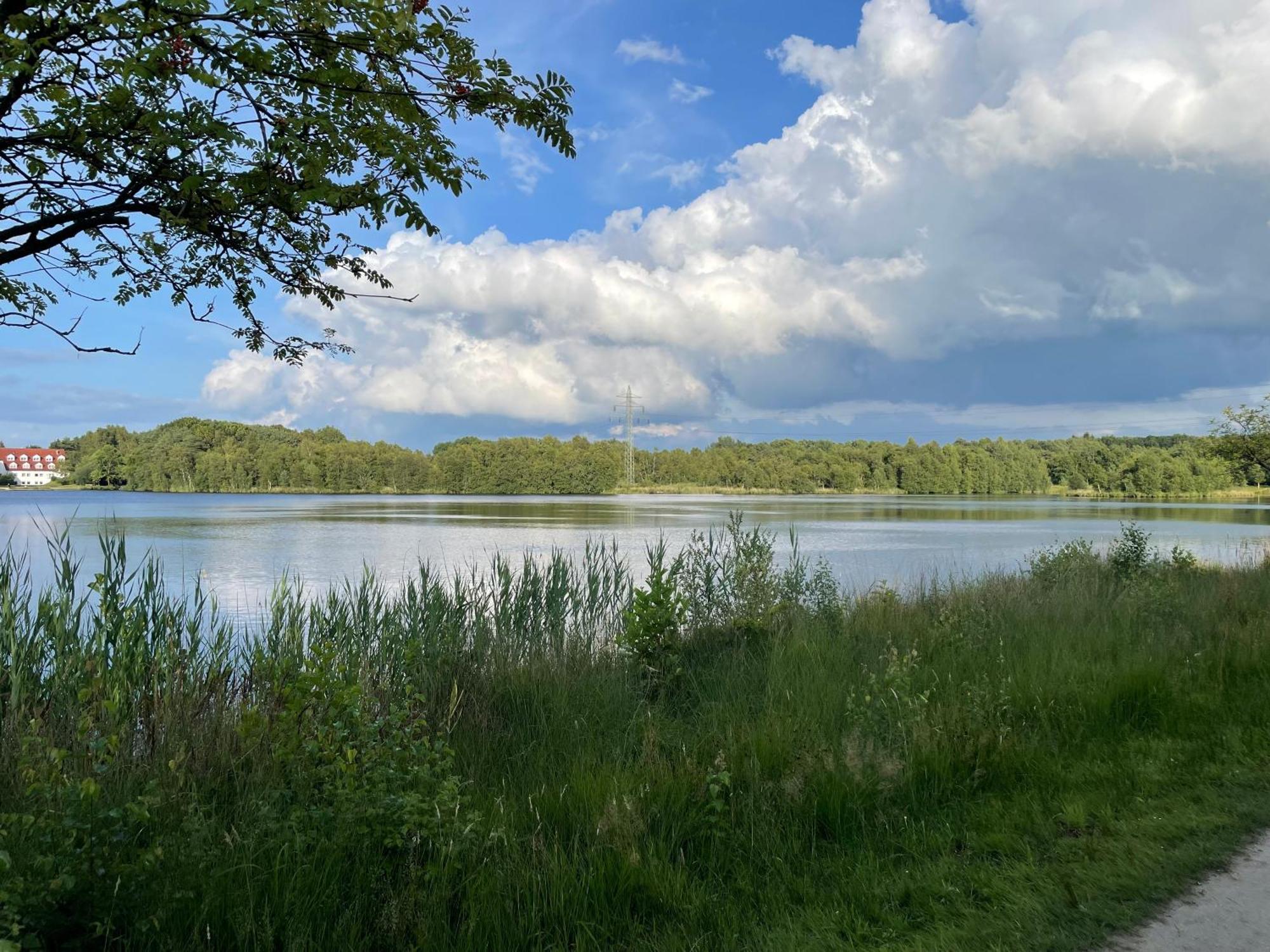 An Der Gaste *
